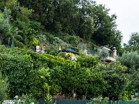 Vakantie Italie 2014 - Le Marche  Grottamare : Agriturismo, Grottamare, Italië, Marche, Papa Sisto